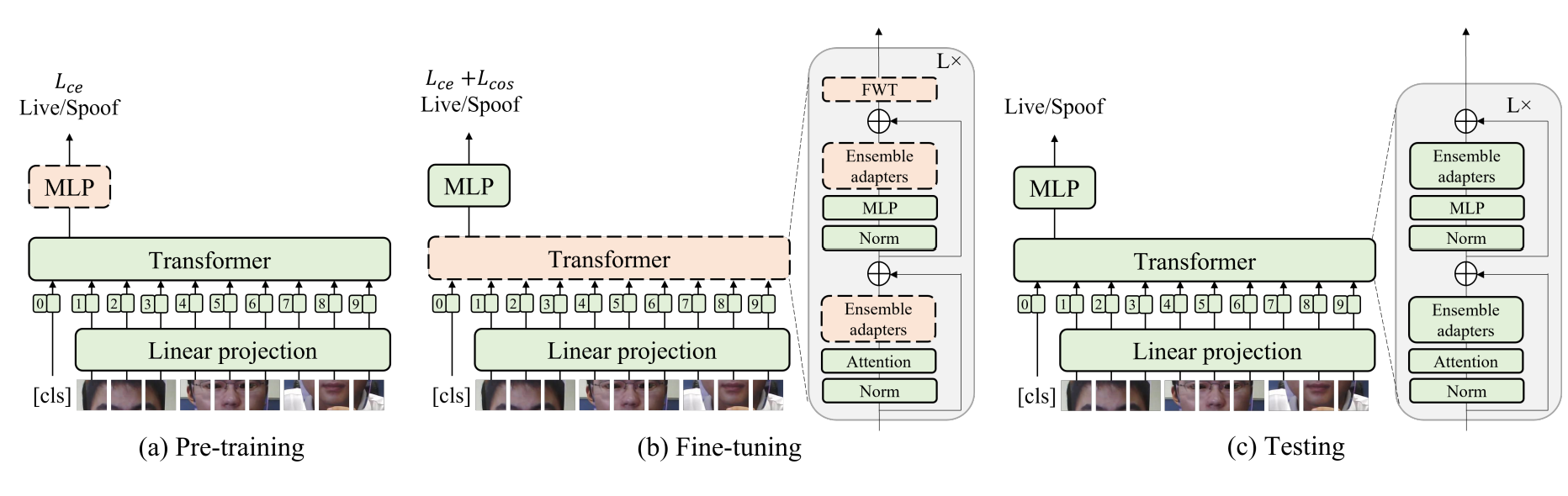 Overview of the network structure