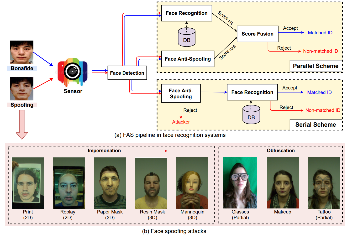 Face Anti-Spoofing Pipeline and Face Spoofing attacks