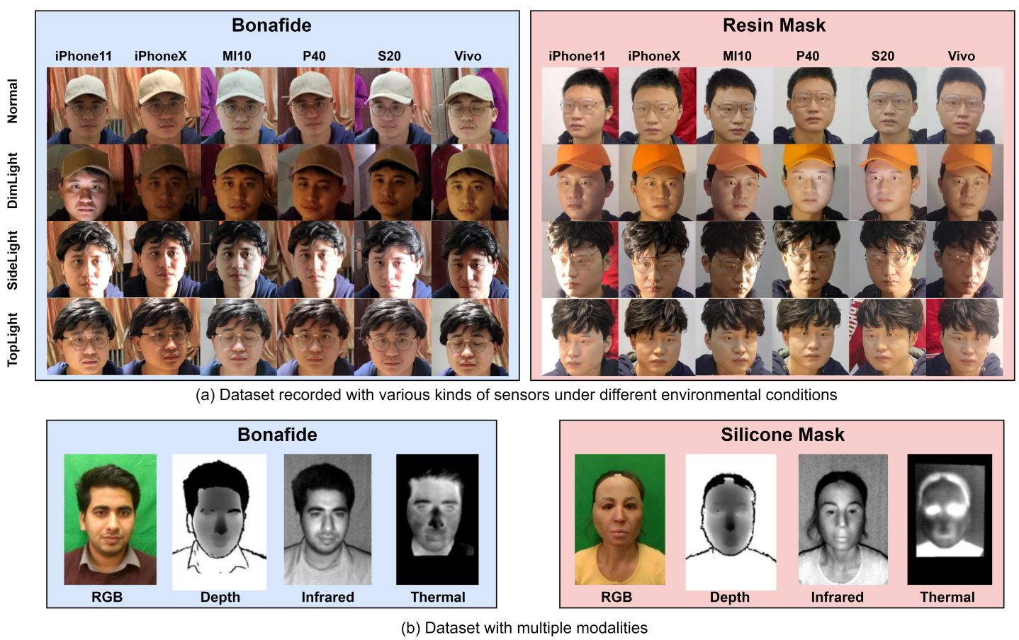 Dataset visualiszation