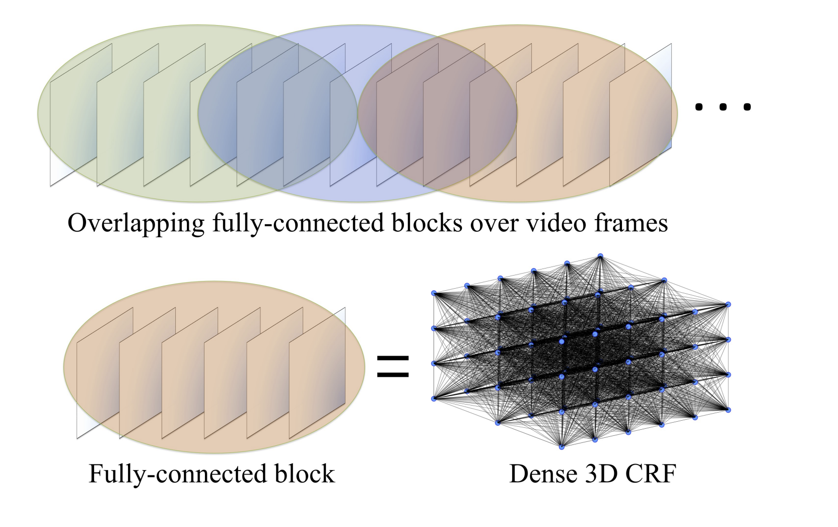 The temporal structure of the model