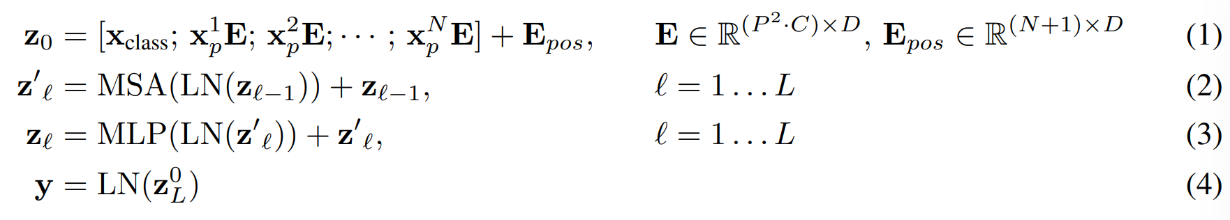 ViT model equation