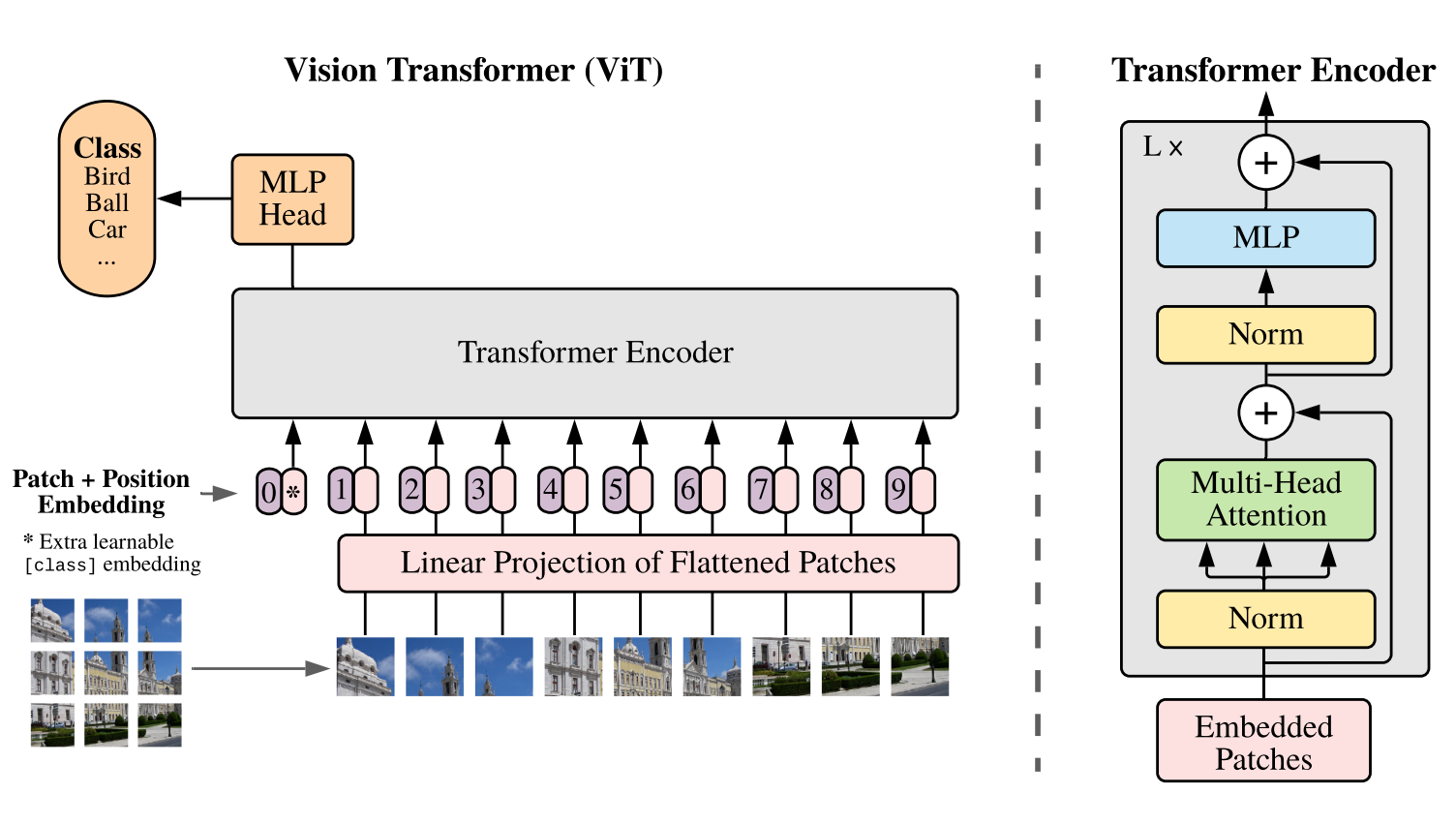 ViT model overview